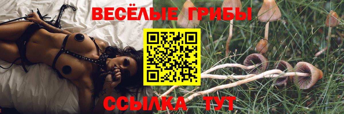 Псилоцибиновые грибы Cubensis  Вход с VPN  Малгобек  Галлюциногенные грибы ЛСД 