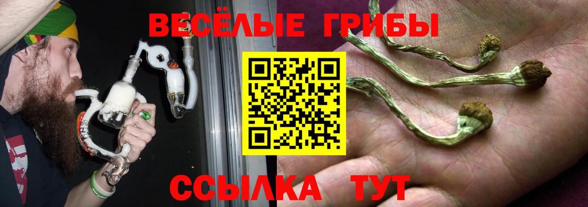 Галлюциногенные грибы Psilocybine cubensis Малгобек